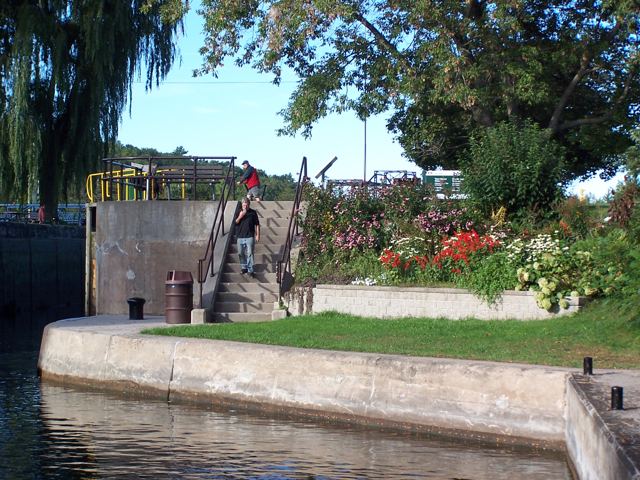 Lockside gardens in bloom
