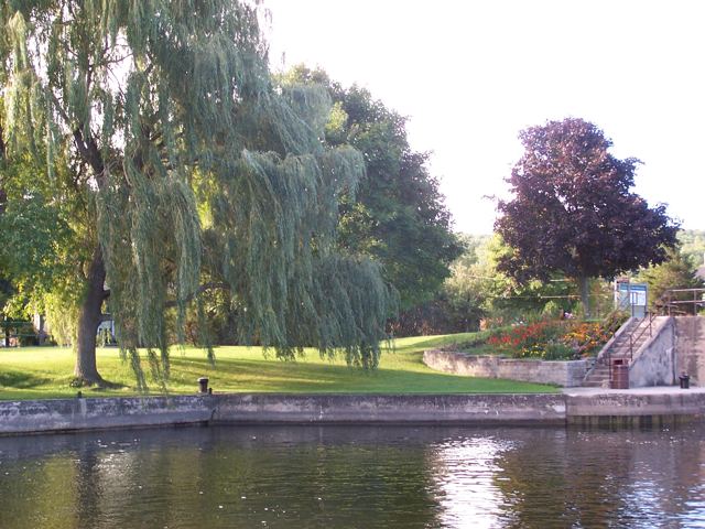 Weeping willows beside the canal