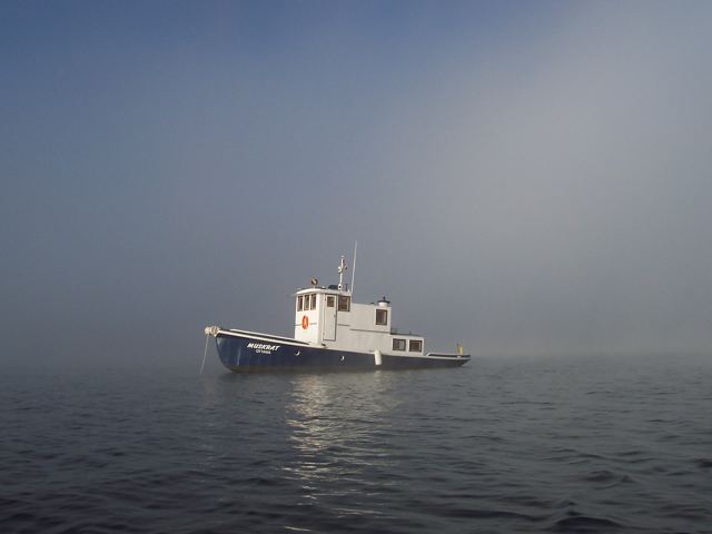 The tug in fog on open water