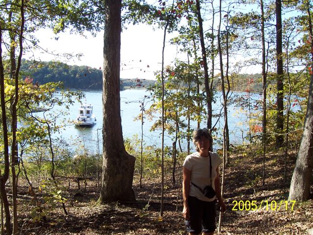 Ashore on a wooded lakeshore