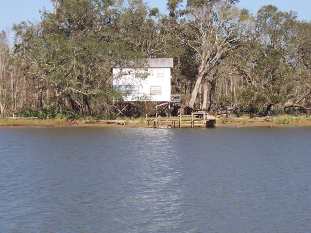 A house among the moss-draped trees on the river