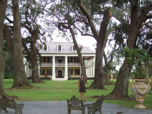 A plantation house among the oaks