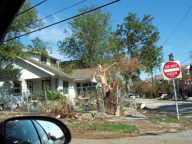 Storm damage on a New Orleans street