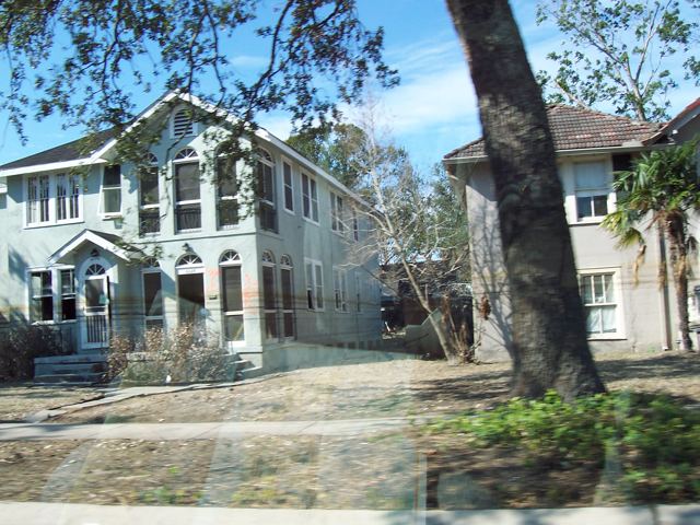 Houses beside a fallen tree