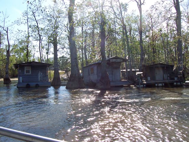 Camps standing in the cypress swamp
