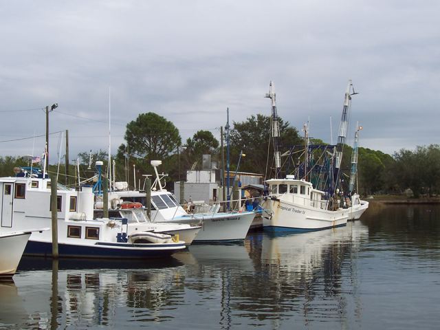 Shrimp boats at Panacea
