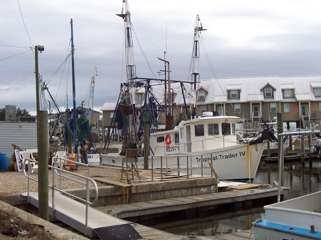 The shrimp boats’ dock