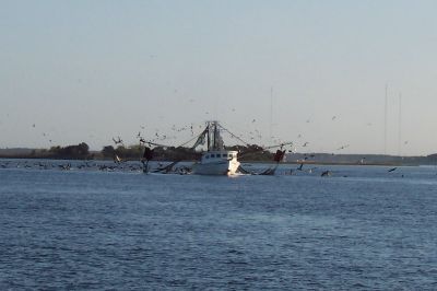 Carolina shrimper and helpers