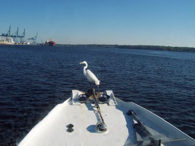 Figurehead