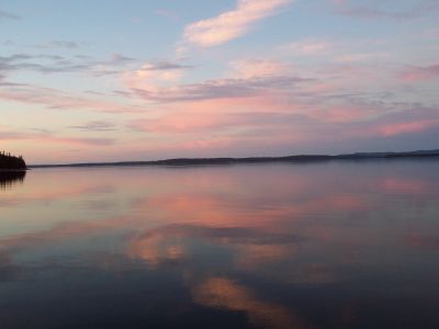 Pink calm