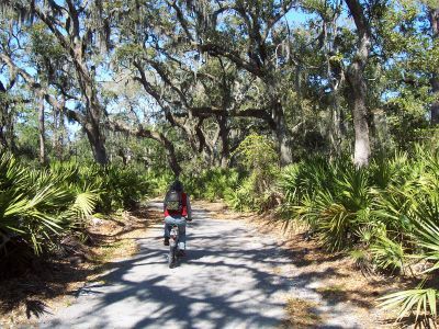 Spanish moss